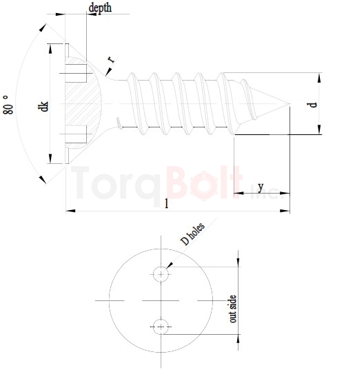 2hole Countersunk Self Tapping Security Screws