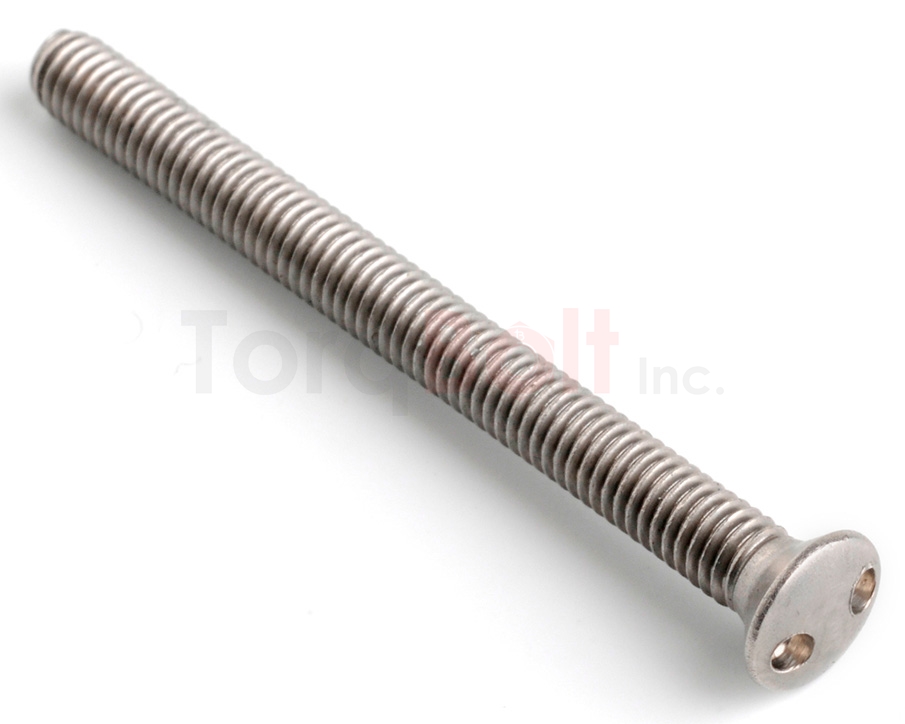2hole Raised Countersunk Security Screws