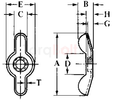 AMSI/ASME B18.17 Type D Style 2 Wing Nuts