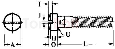 ASME B18.6.2 Slotted Fillister Head Cap Screws