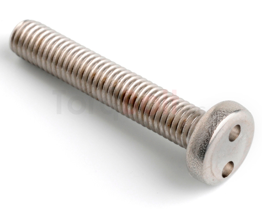 DIN 7985 2hole Pan Security Screws