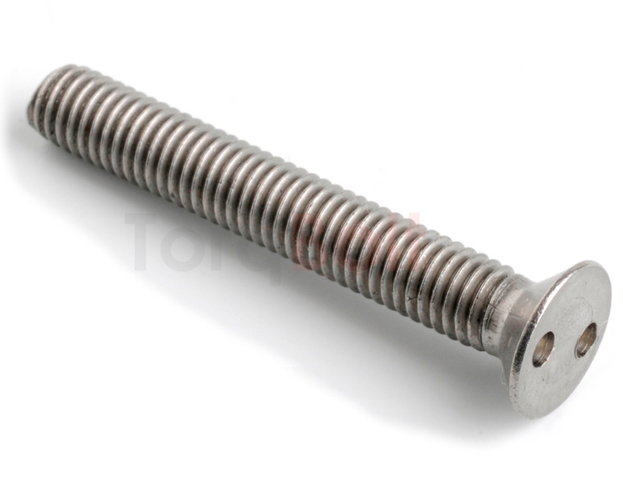 DIN 7991 2hole Countersunk Security Screws