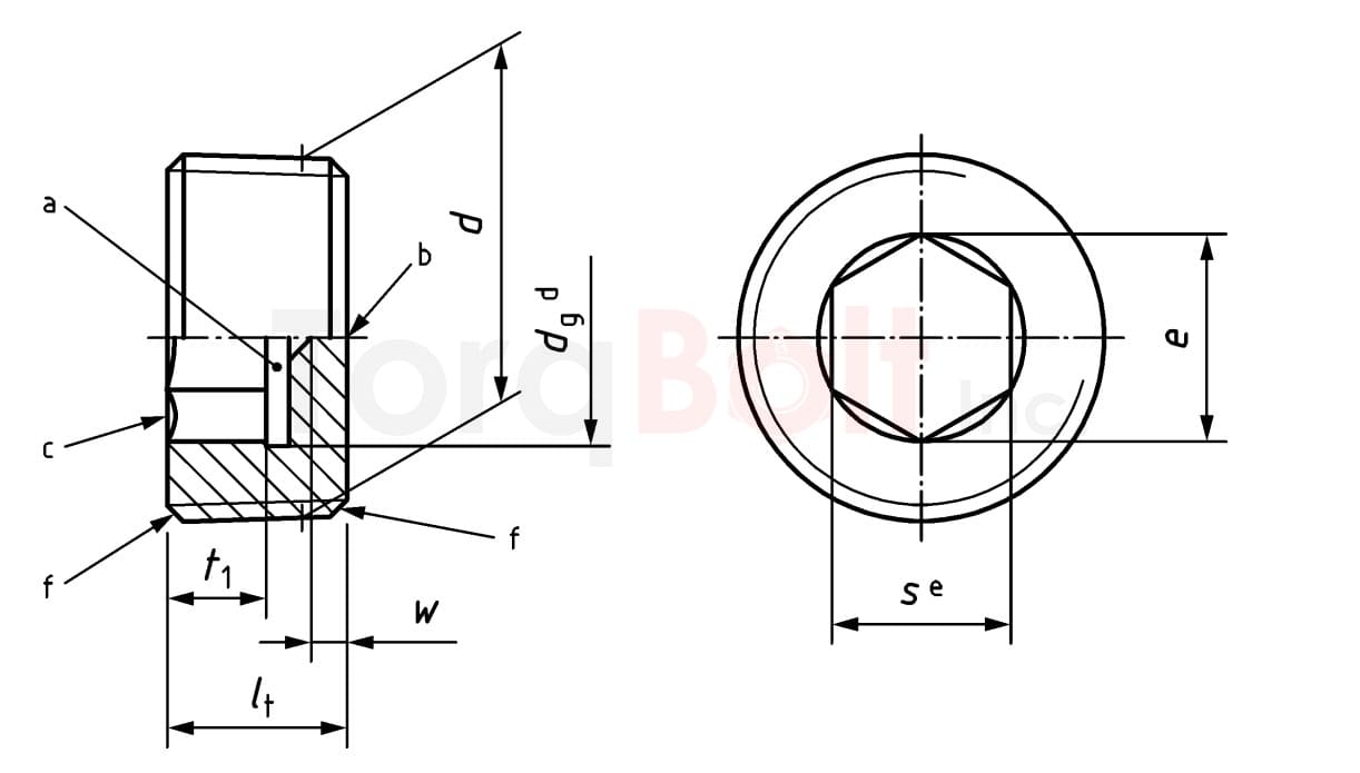 Hexagon Socket Pipe Plug(ISK)