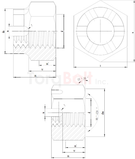 DIN 935 Hexagon Castle Nuts