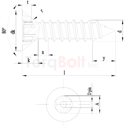 Hexalobular + Pin Countersunk Self Tapping Security Screws