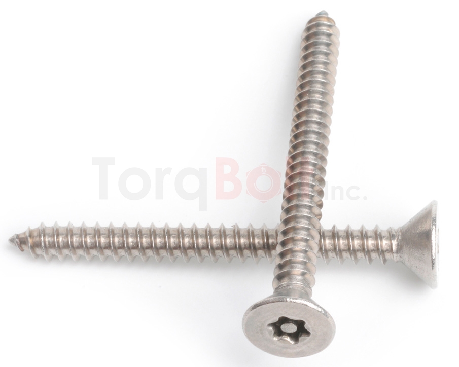 Hexalobular + Pin Countersunk Self Tapping Security Screws