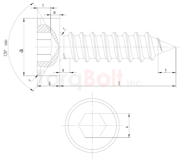 Socket Cap Head Self Tapping Screws
